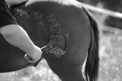 餐飲店老板該如何設(shè)計餐飲品牌在競爭中勝出并贏得顧客？